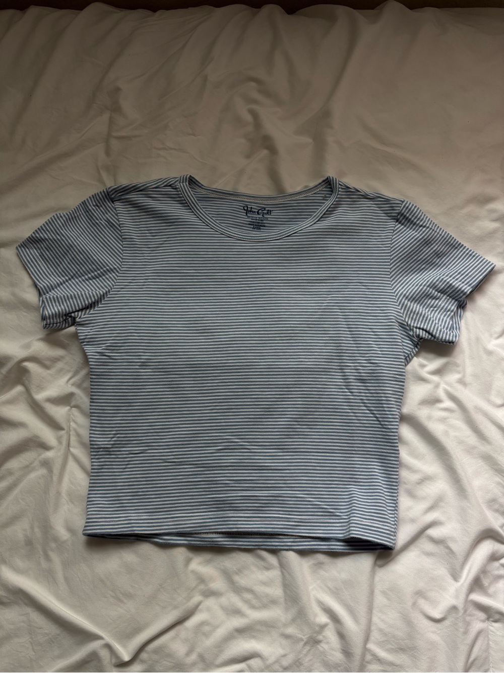 Brandy Melville Blue Stripe Cropped T-Shirt
